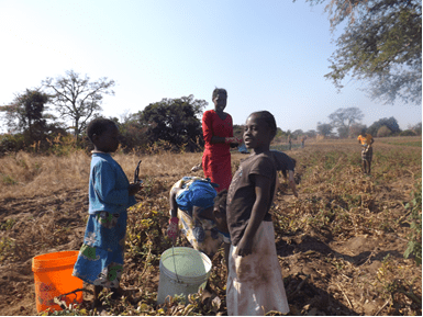 Children helping on the farm (Zambia)